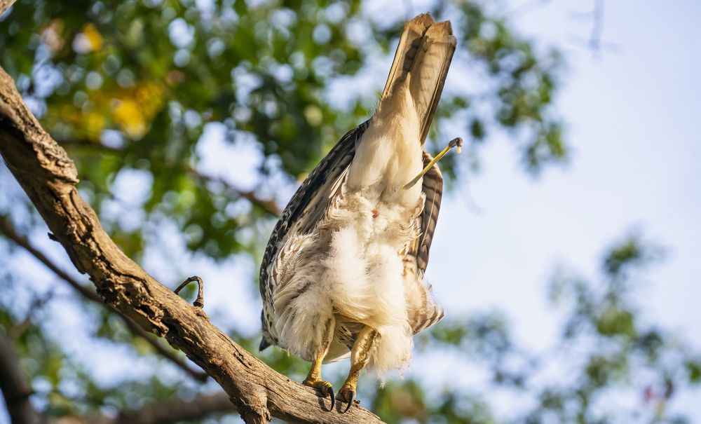 Photograph by Jelena Levsina