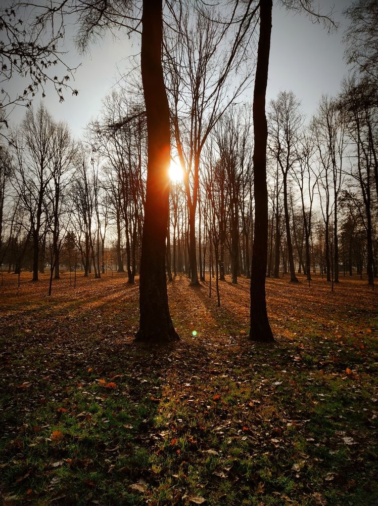 Фотография автора Таисия