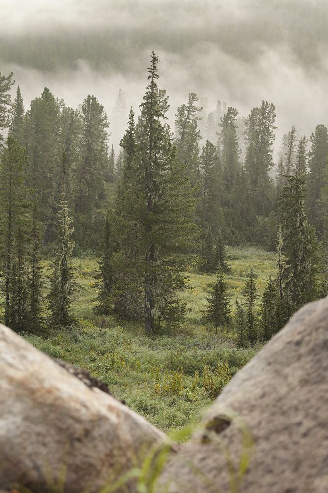 Фотография автора Лариса Кисурина