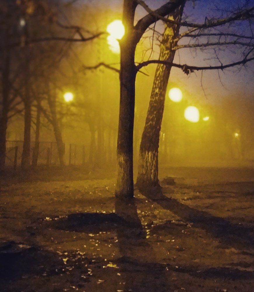 Фотография автора Оксана Зибзибадзе