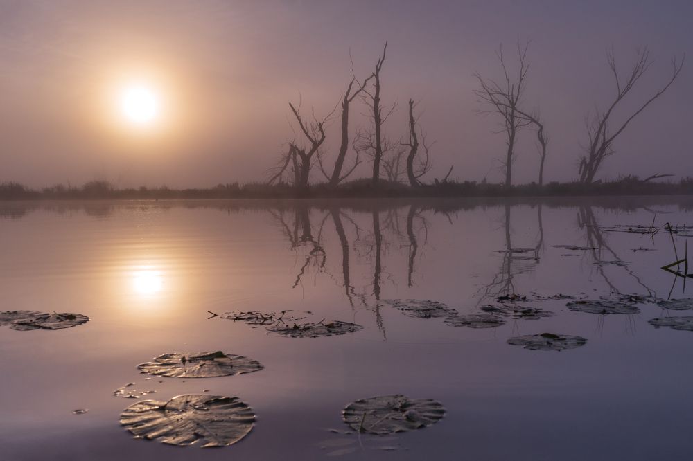 Photograph by Sławomir Sot