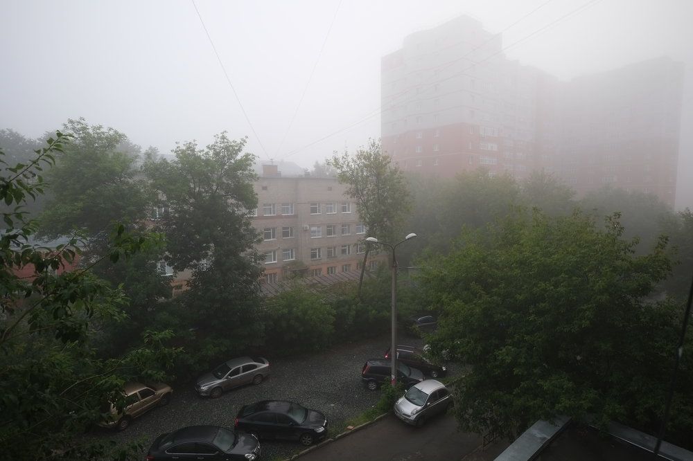Туман во дворе.
