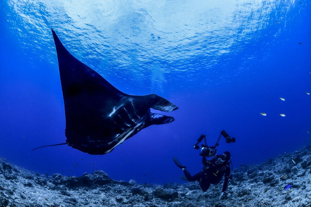 Фотография автора Bastien