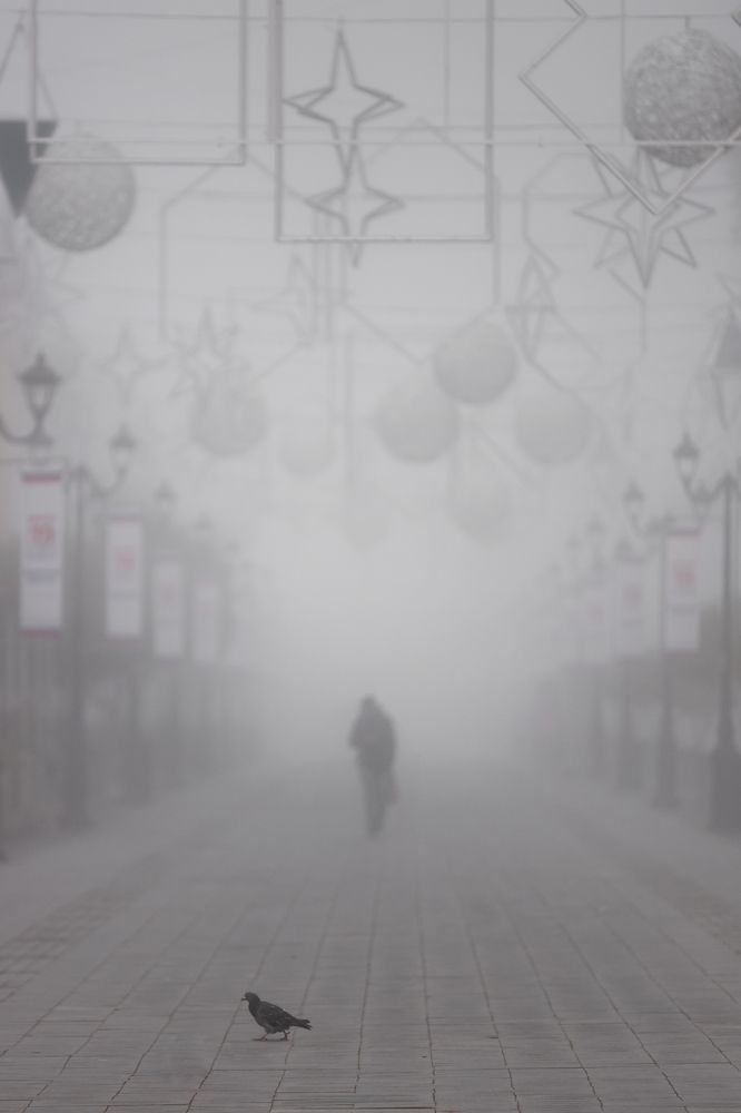 Фотография автора Nikita Dukhnik