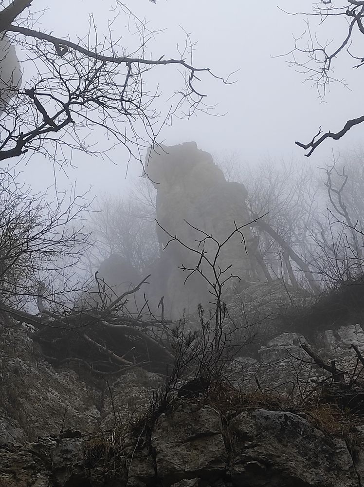 Photograph by Владимир Караман