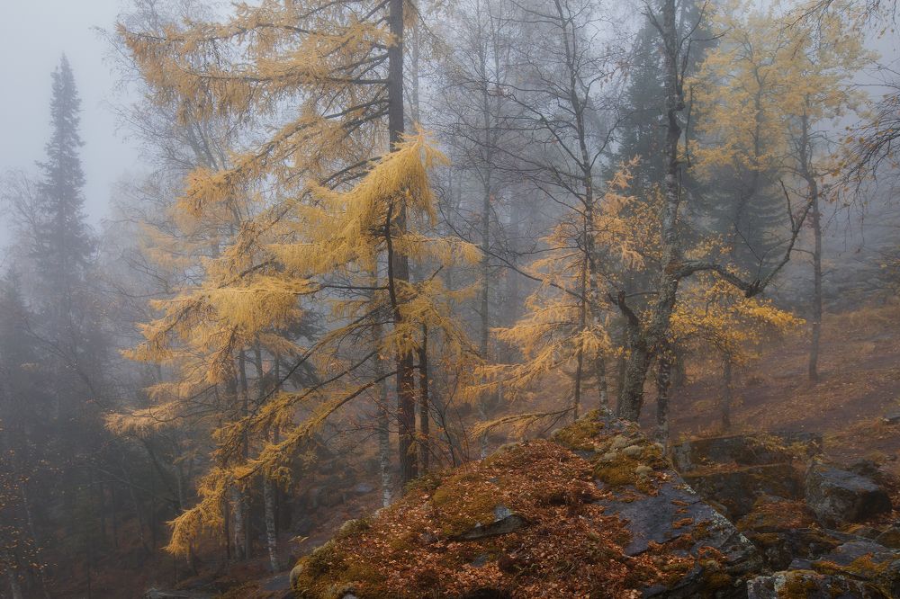 Фотография автора Игорь Филимонов