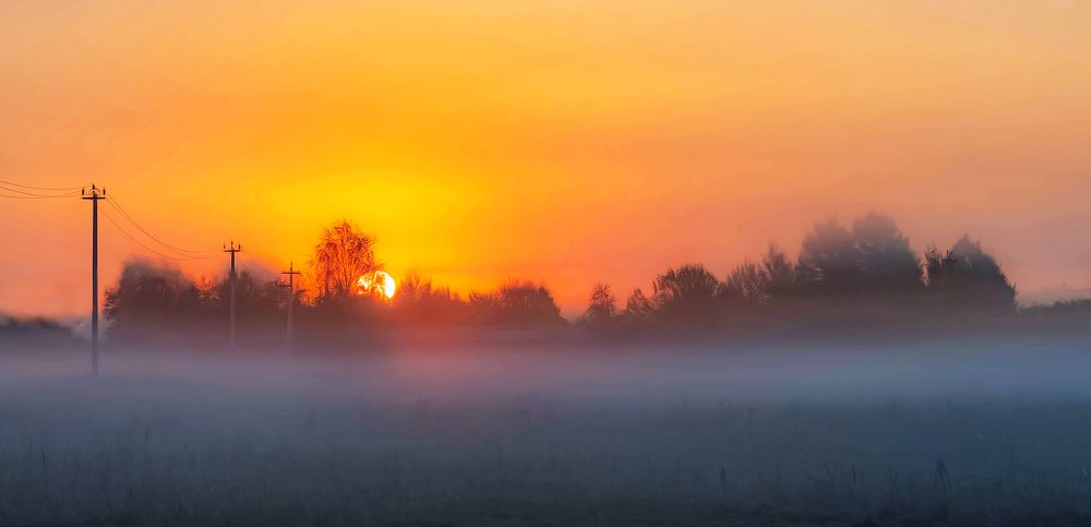 Photograph by Margarita