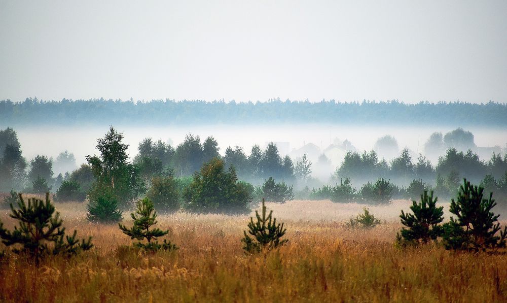 Photograph by Margarita