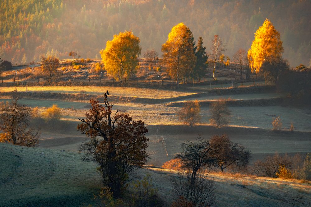 Photograph by Lyubomir Momchilov