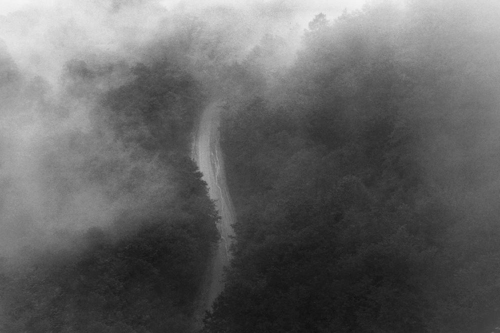 Photograph by samaneh jamali