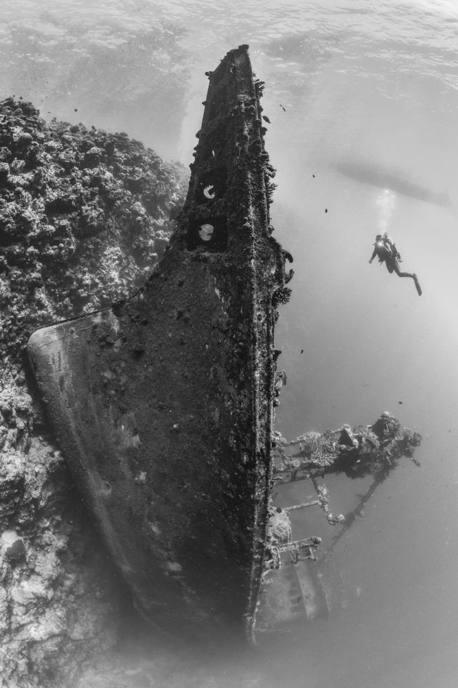 Фотография автора Bastien