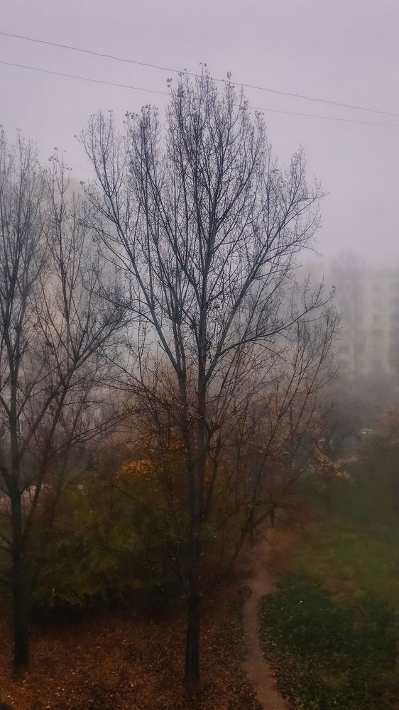 Photograph by Екатерина Стефанова