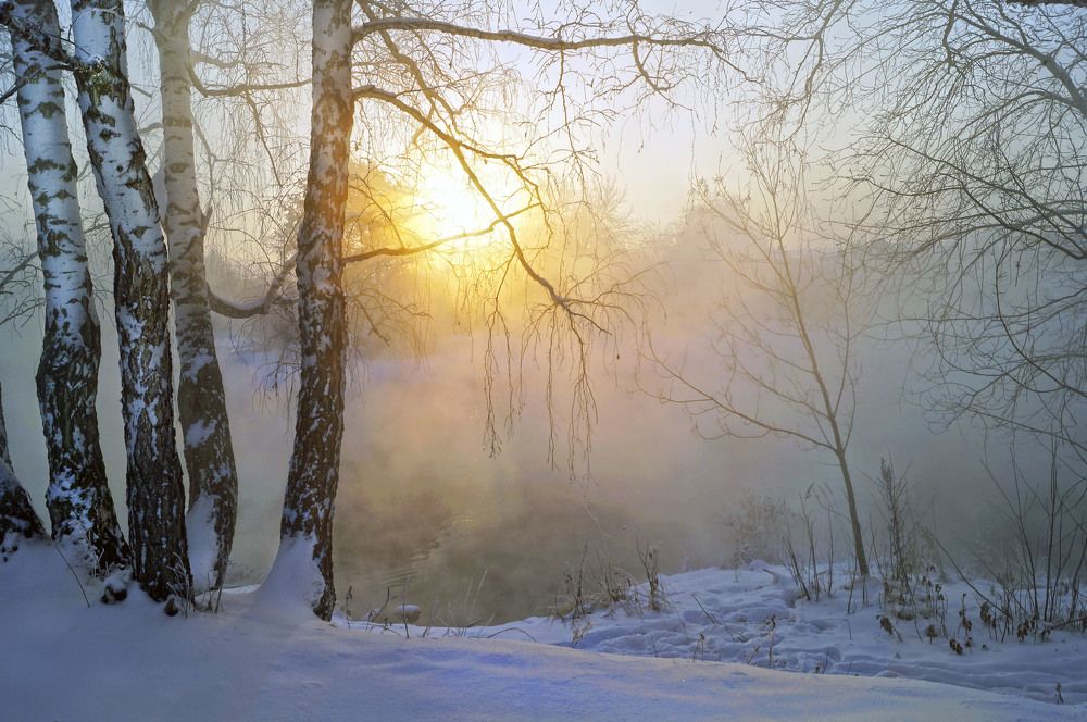 Солнце зимнее не греет, но чарует и манит.