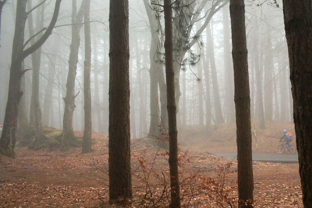 Photograph by Claudio Bonaccorsi