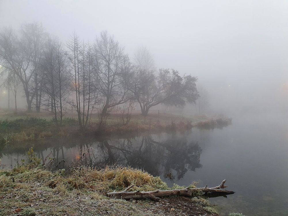 Звенящая морозная тишина.