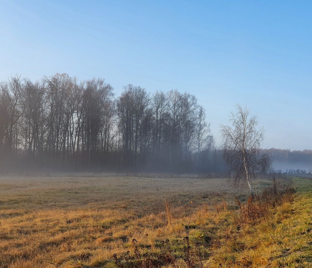 А туман над полями стелится.....