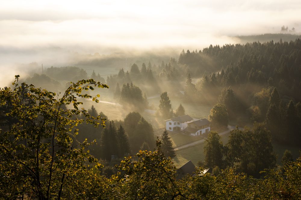 Photograph by Denisa Miazdrová