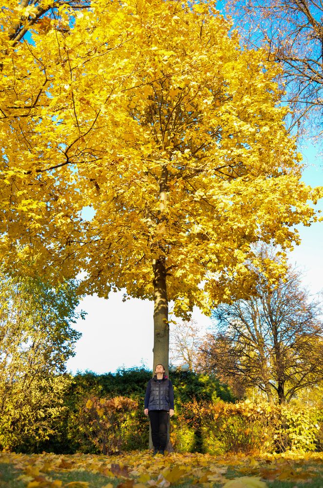Photograph by Евгений Королев