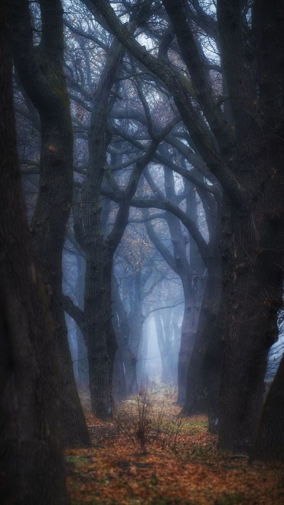 Photograph by Павел Сагайдак