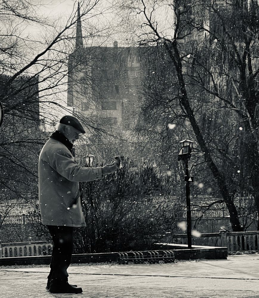 Photograph by Елизавета Суменкова