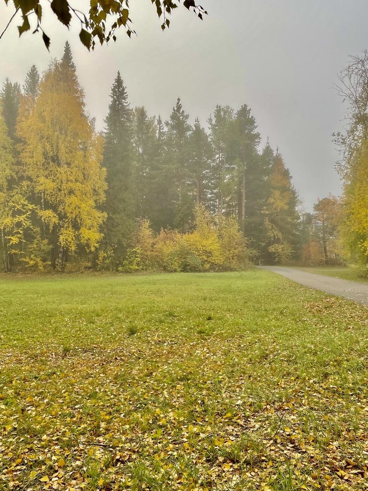 Photograph by Светлана Хохлова