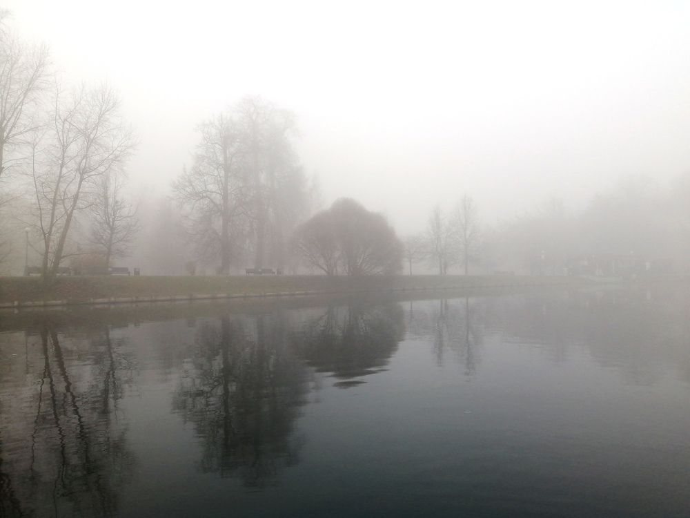 Photograph by Светлана Веселовская