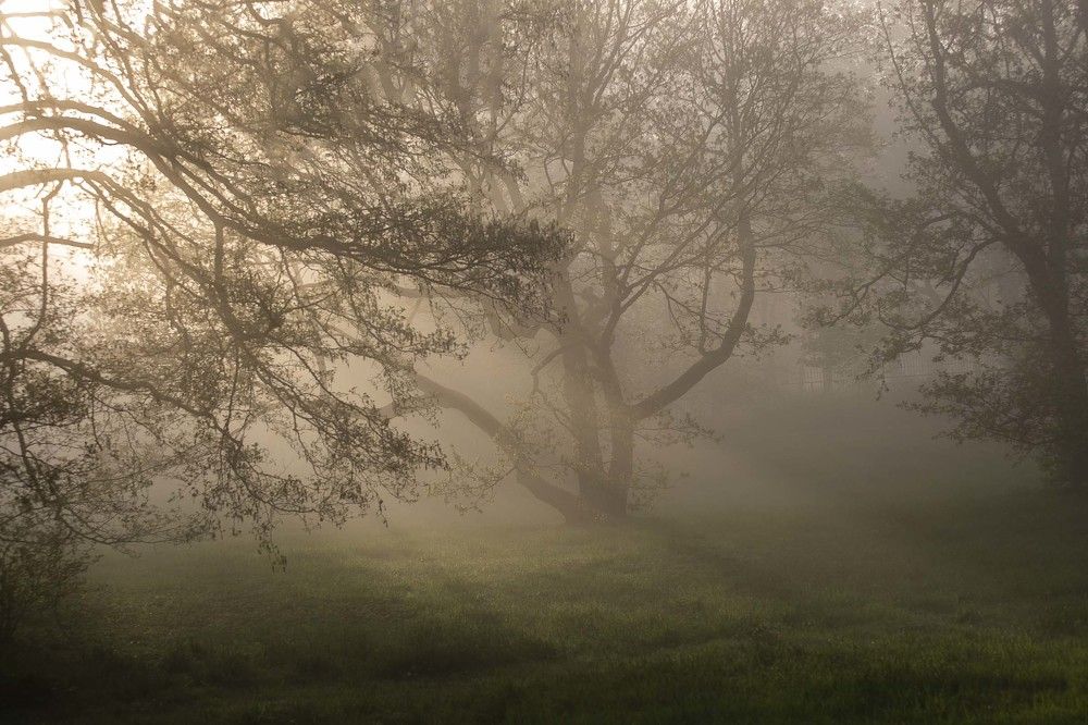 Photograph by Наталья Катюжанская