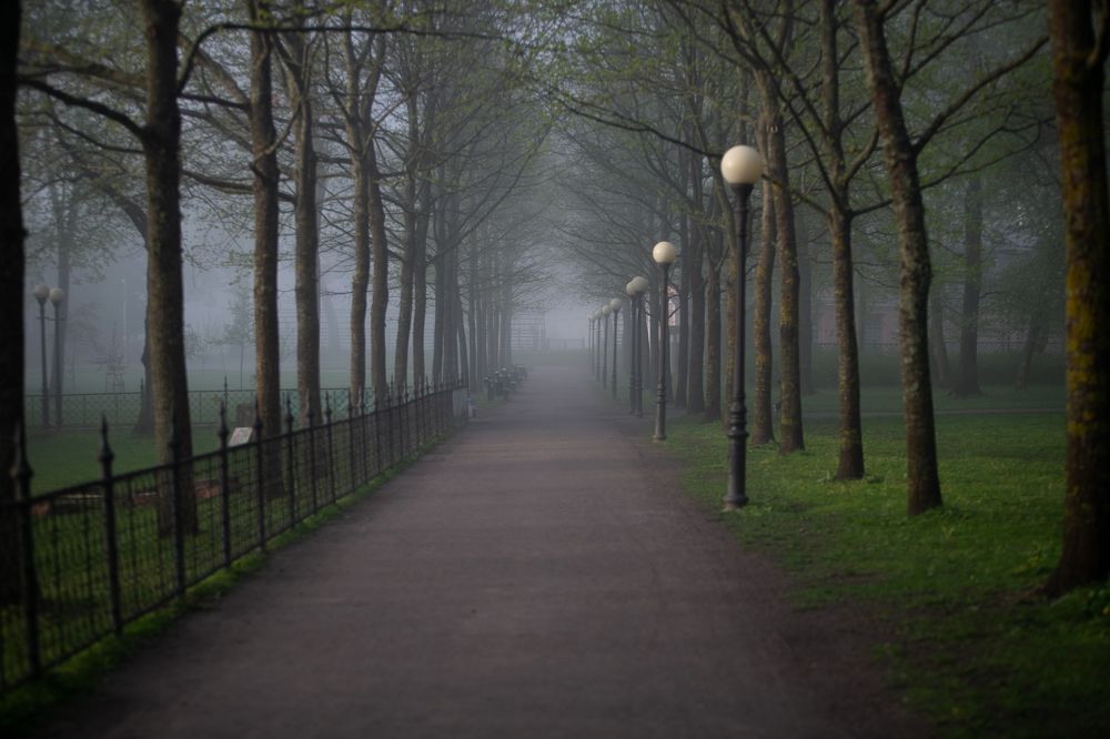 Photograph by Наталья Катюжанская