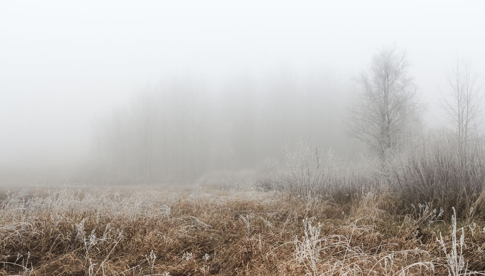 Photograph by Герман