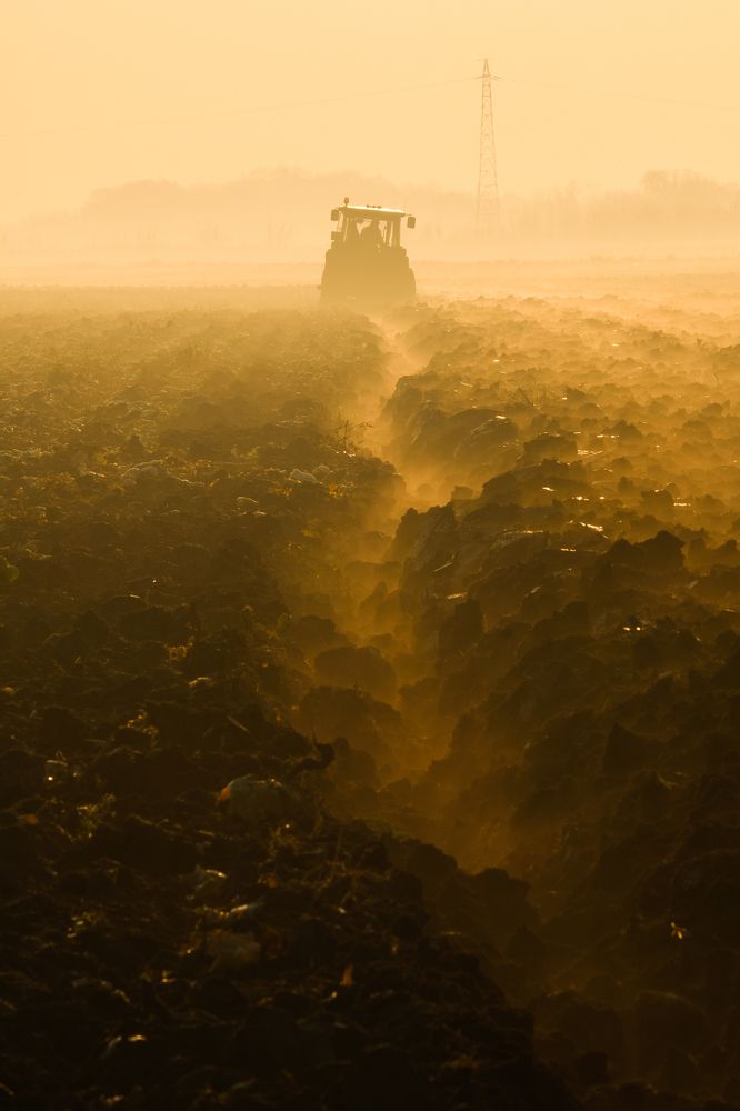 Фотография автора Александр Высоцкий