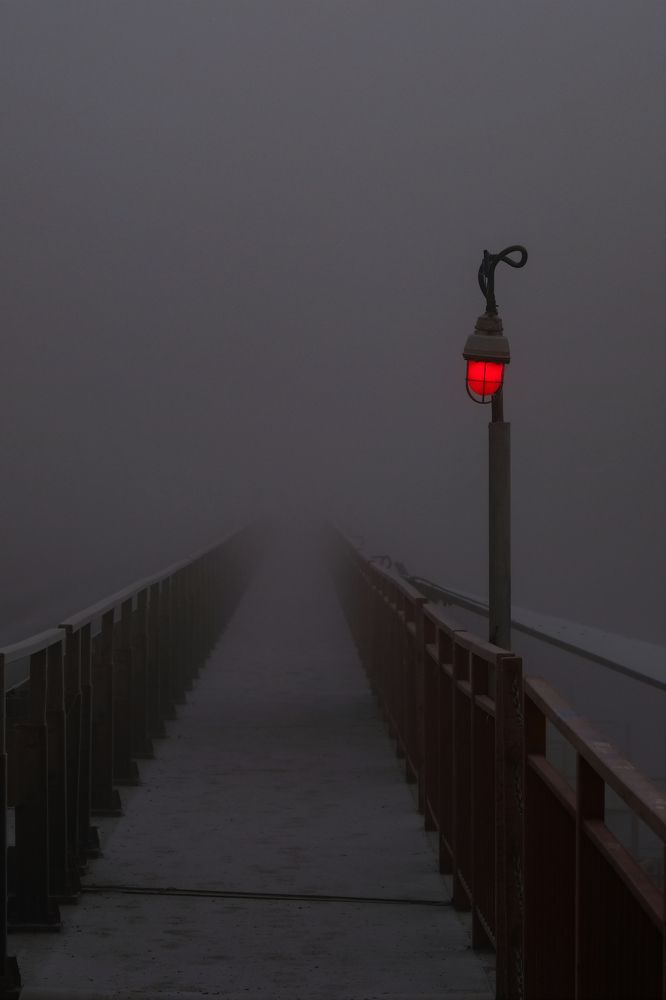 Фотография автора Александр Высоцкий