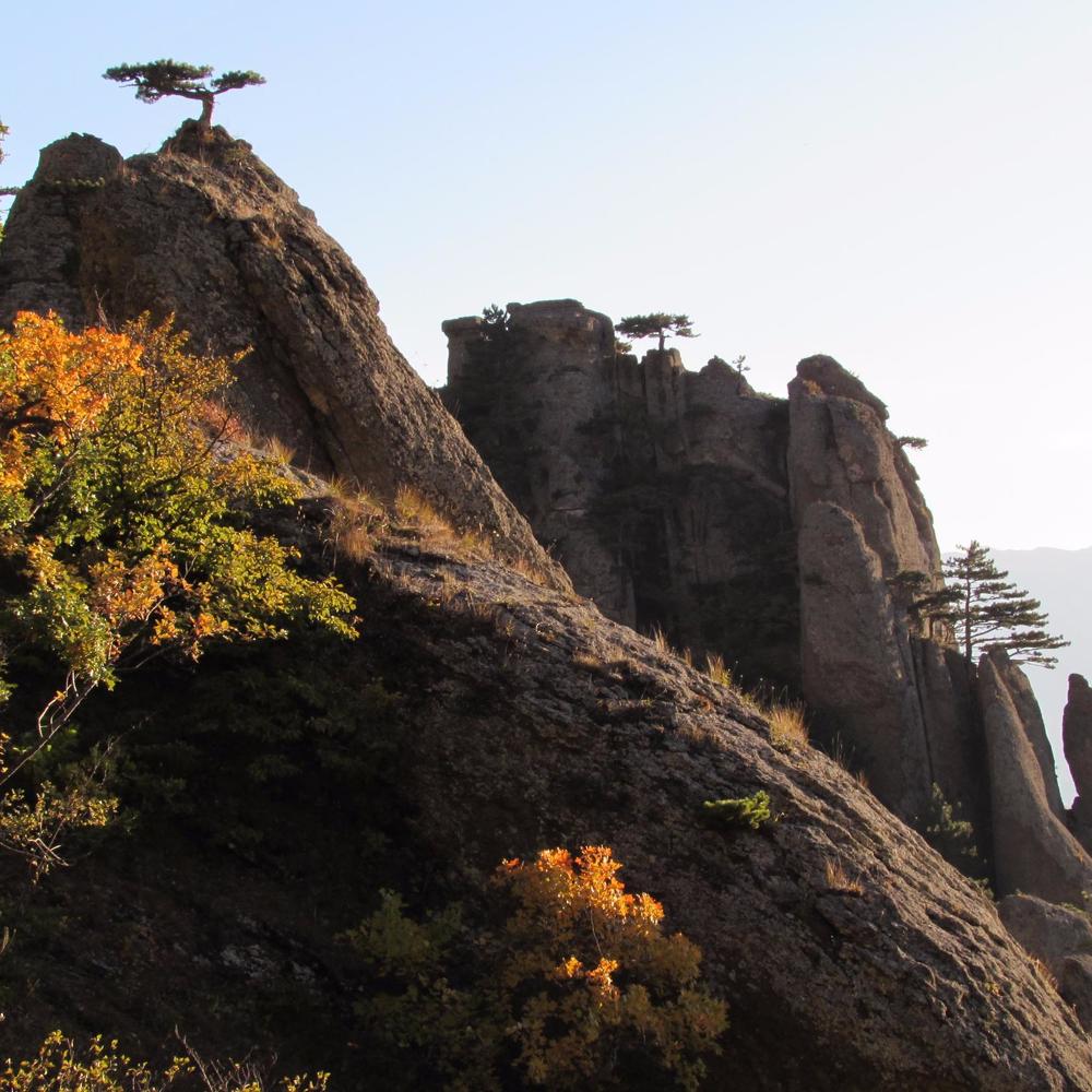 Photograph by Наталья Хаптева