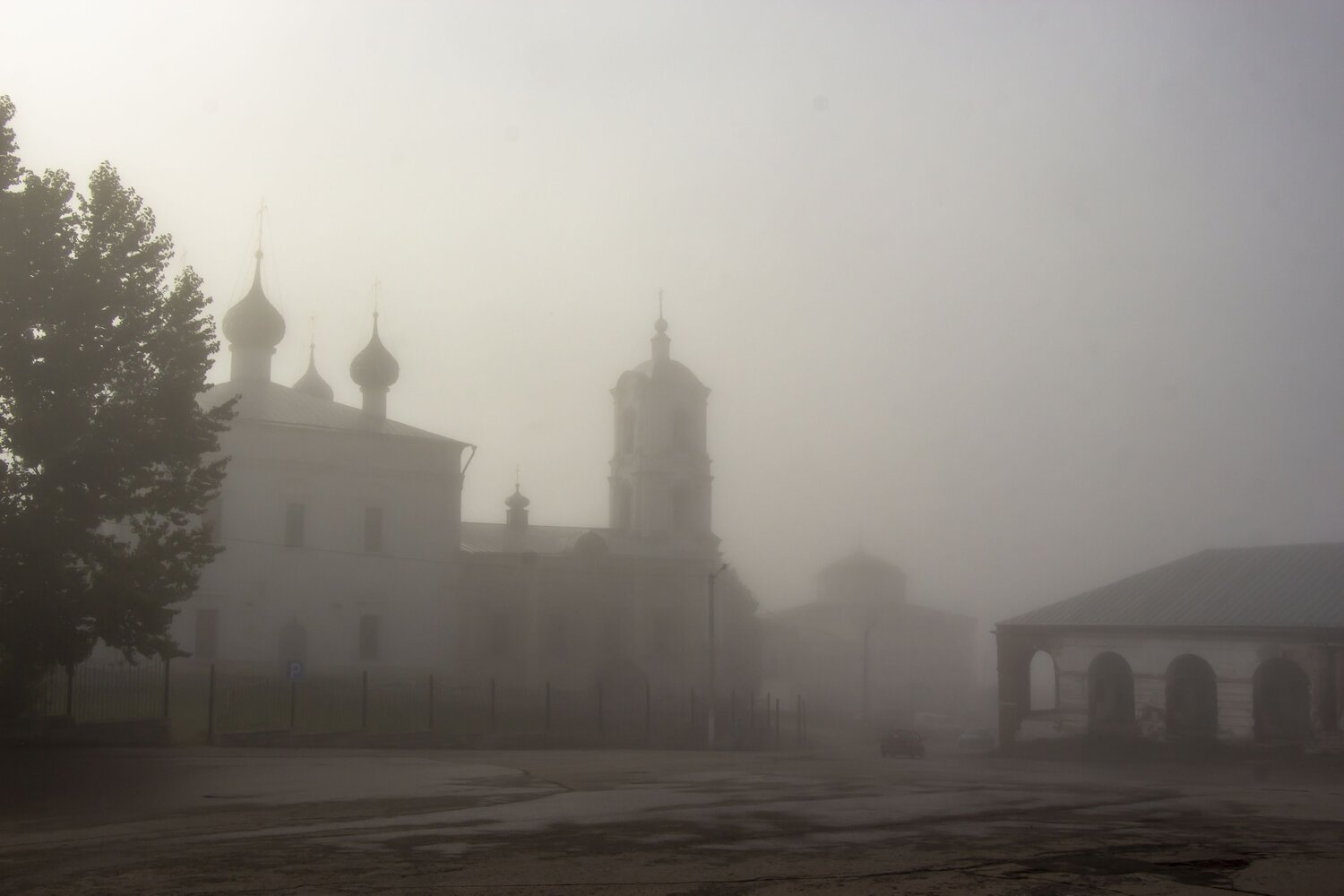 Photo #6680954