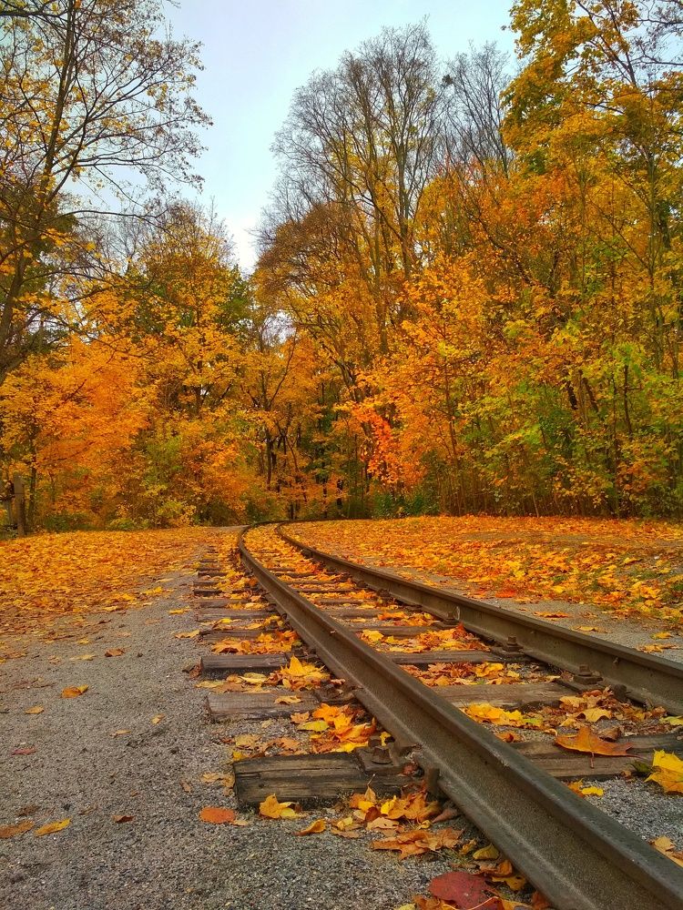 Photograph by Евгения Уманец