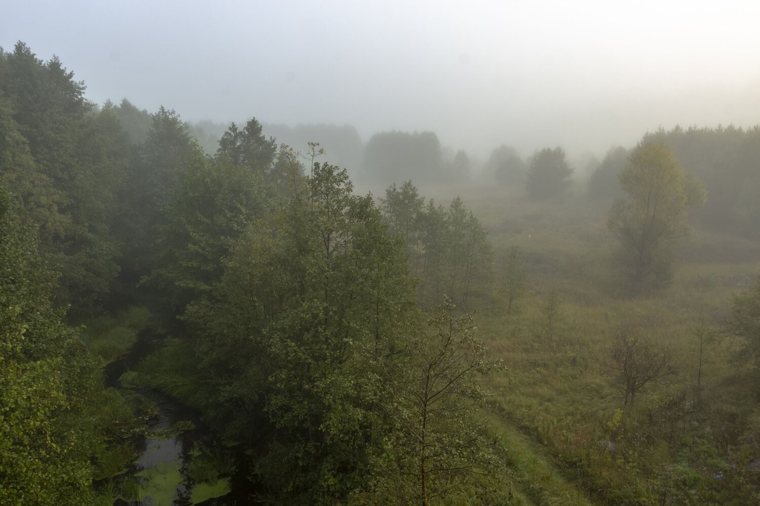 Photo #6680982
