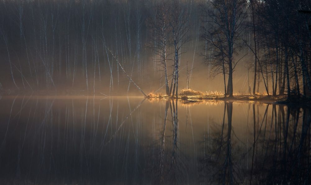 Photograph by Евгения Ботова