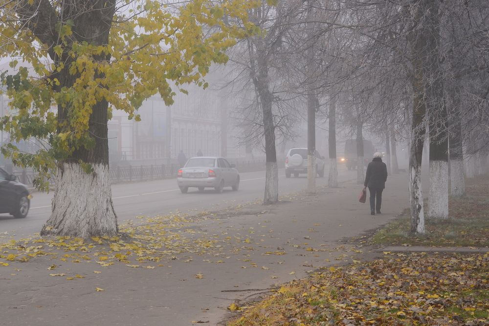 Photograph by Валерий Толмачев
