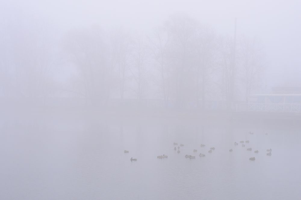 Photograph by Валерий Толмачев