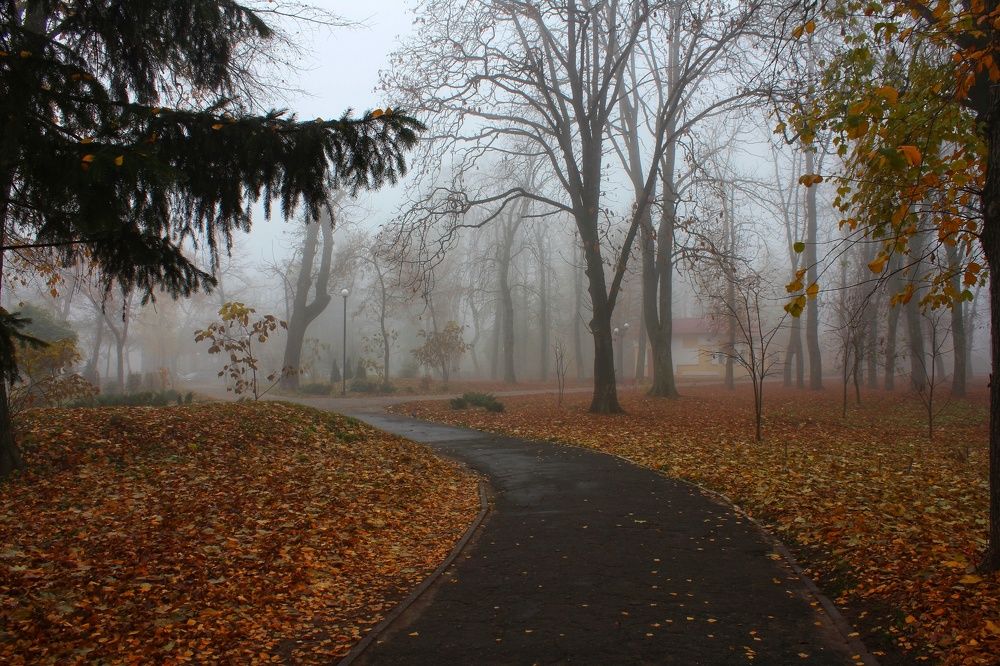 Photograph by Неля Тананайко-Малушка
