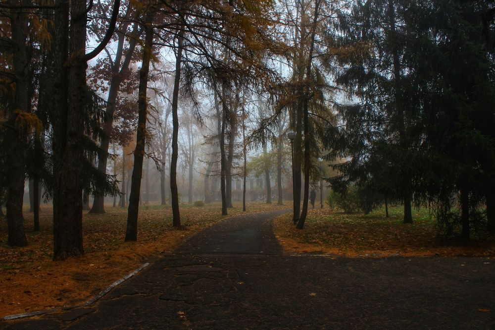 Photograph by Неля Тананайко-Малушка