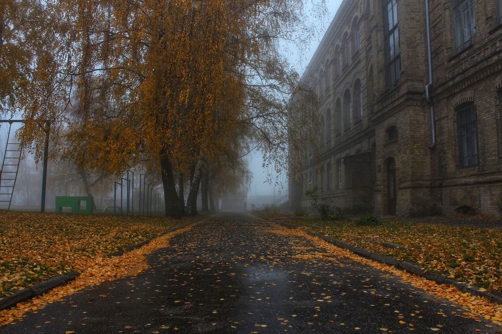 Photograph by Неля Тананайко-Малушка
