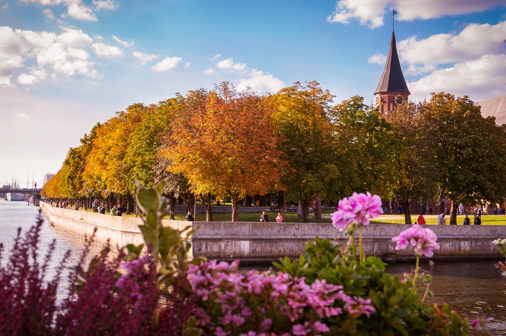 Photograph by татьяна прошина