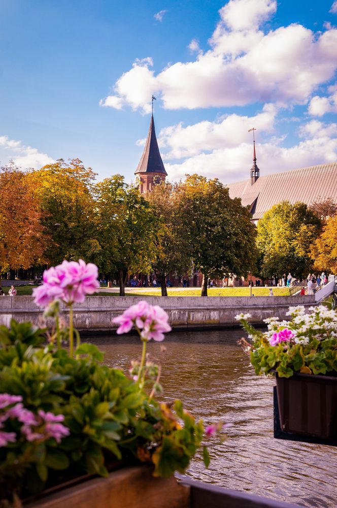 Photograph by татьяна прошина