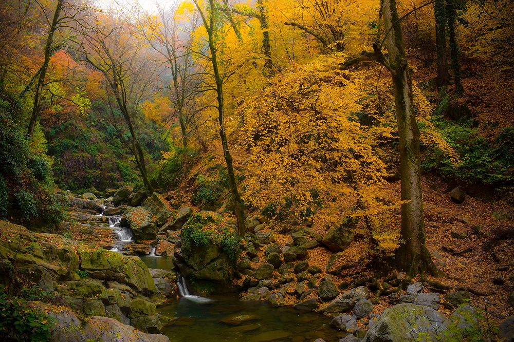 Photograph by Reza Jafari