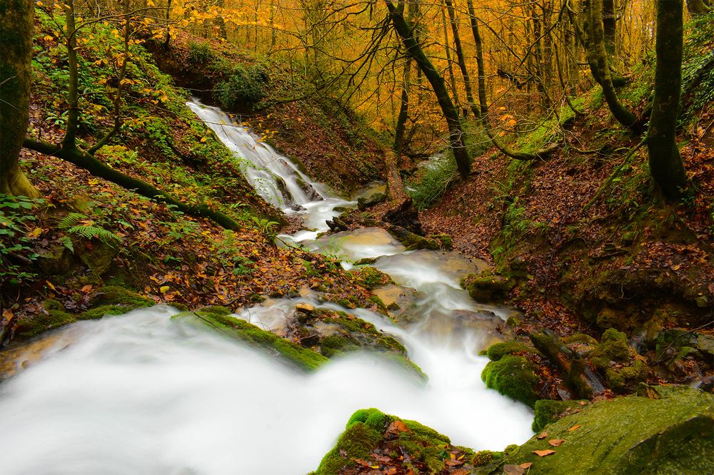 Photograph by Reza Jafari