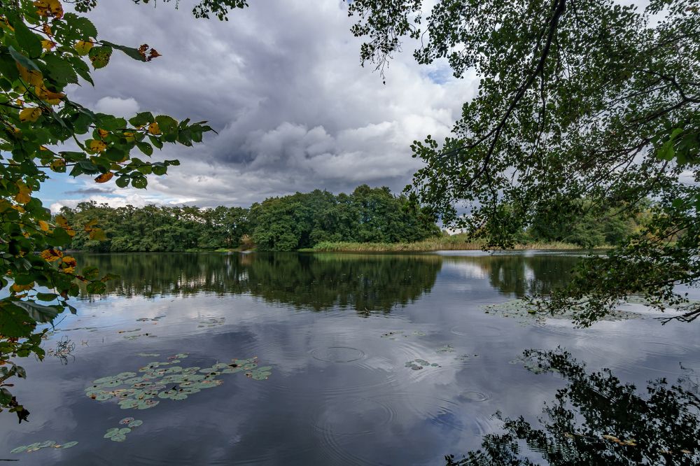 Photograph by Игорь Самарский