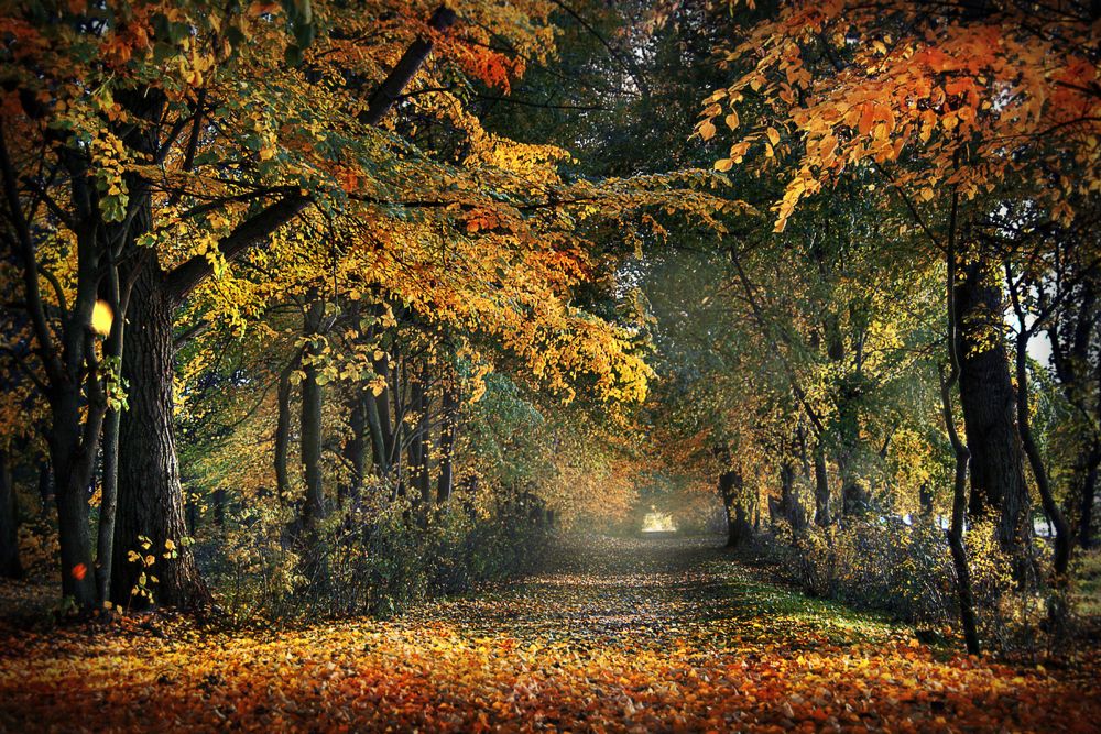 Photograph by Людмила Сиденко