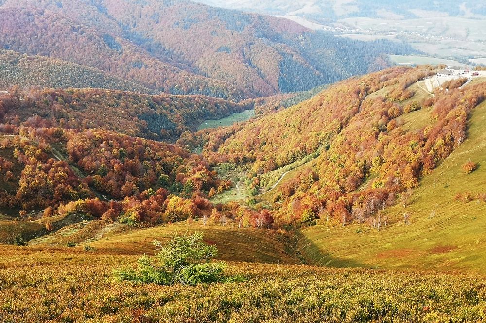 Photograph by Елена Николаева