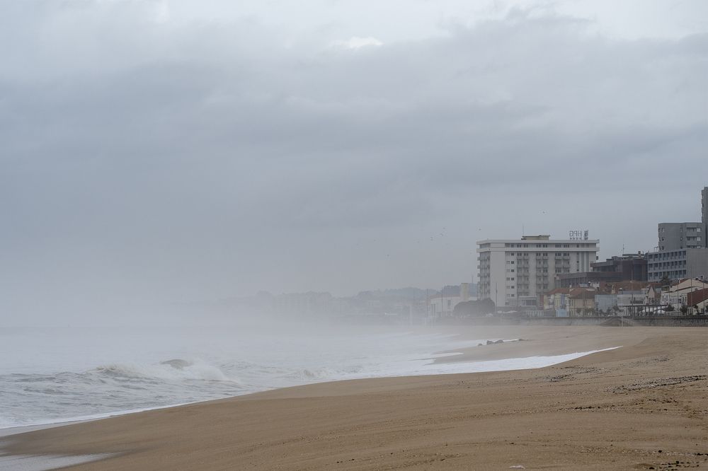 Photograph by Tatiana Zuikova