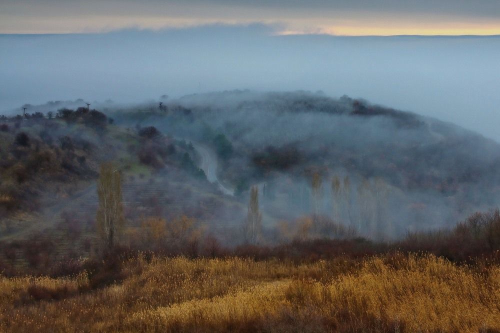 Photograph by Ольга Харчишина